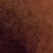 Profile picture of Eden