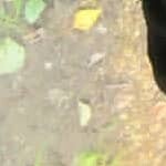 Profile picture of asamoahalex810@gmail.com