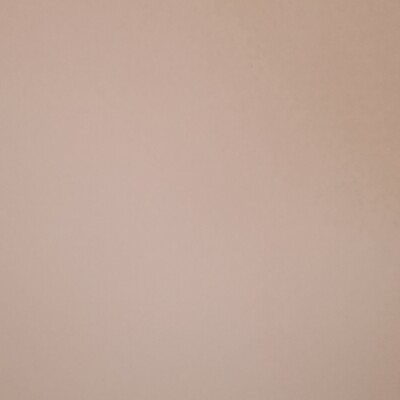 Profile picture of Dianee