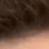 Profile picture of Harry Stephen