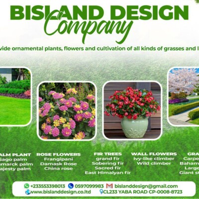 Profile picture of BISMARK ACHEAMPONG
