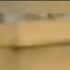 Profile picture of Rauf