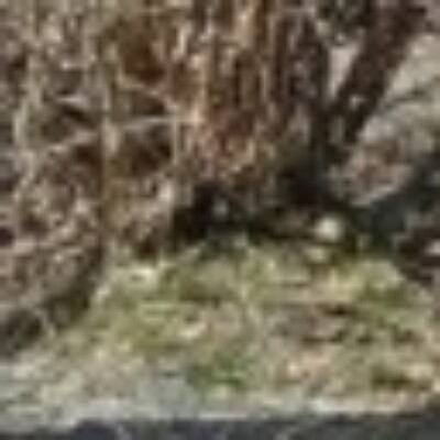 Profile picture of boheba3390@numerobo.com