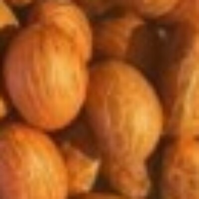 Profile picture of bbu78465@msssg.com