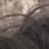 Profile picture of Lilianreece