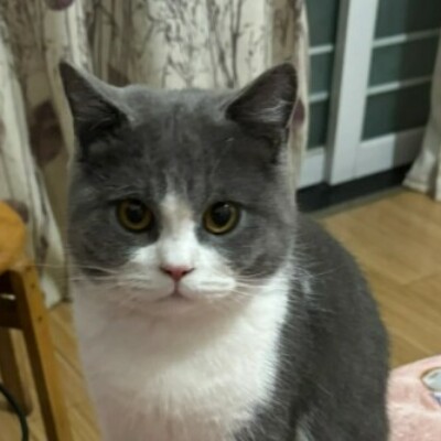 Profile picture of lenzarara@gmail.com