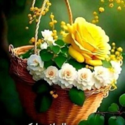 Profile picture of wskh555@gmail.com