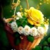 Profile picture of wskh555@gmail.com
