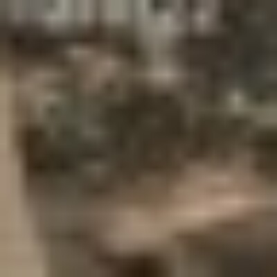 Profile picture of gkengoodman2025@gmail.com
