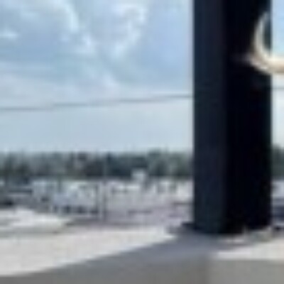 Profile picture of Alexberry123344@gmail.com