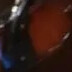 Profile picture of Youssef
