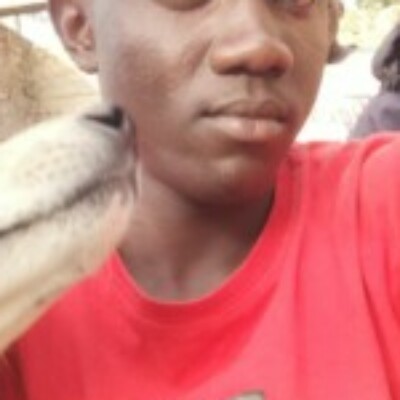 Profile picture of elvisochieng477@gmail.com