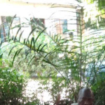 Profile picture of saineybojang901@gmail.com