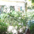 Profile picture of saineybojang901@gmail.com