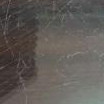 Profile picture of Naimah