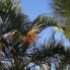 Profile picture of sulirongr@gmail.com
