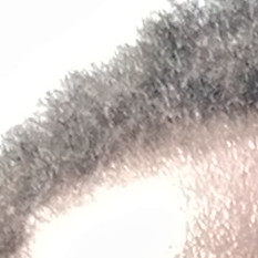Profile picture of Kings4you