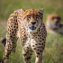 Profile picture of contact@rukuurasafaris.com
