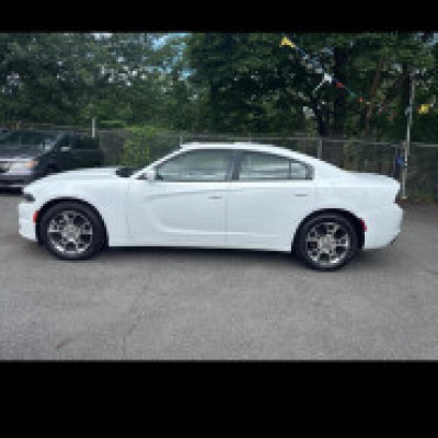 Profile picture of moneystaga@gmail.com