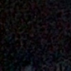 Profile picture of Biola