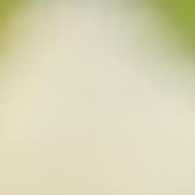 Profile picture of Ankon sarker
