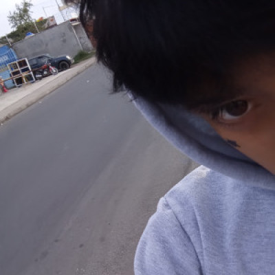 Profile picture of DARIO