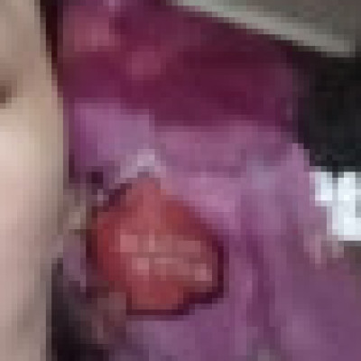 Profile picture of Viviana