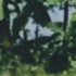 Profile picture of boi