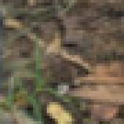 Profile picture of Dhe