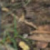 Profile picture of Dhe