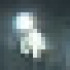 Profile picture of Jj