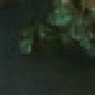Profile picture of Julius