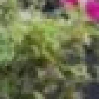 Profile picture of John