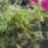 Profile picture of John