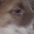 Profile picture of Jamel69