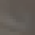 Profile picture of kgxyabs