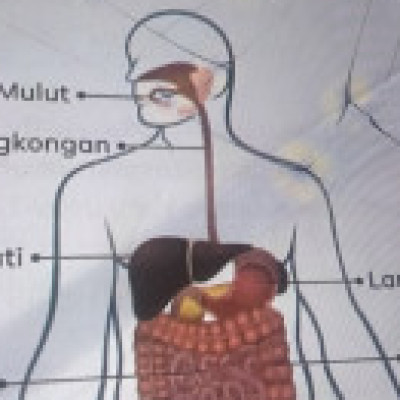 Profile picture of Yuni