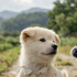 Profile picture of 봉구