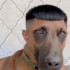 Profile picture of Zilong