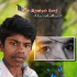 Profile picture of Don bala single crazy