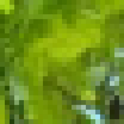 Profile picture of Antonio
