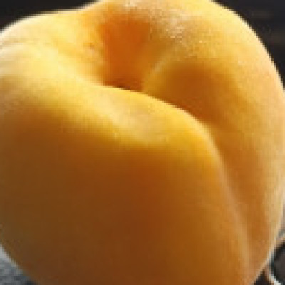 Profile picture of Luis Salazar