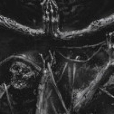Profile picture of ROYAL BLOOD FRATERNITY