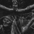 Profile picture of ROYAL BLOOD FRATERNITY