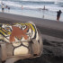 Profile picture of Wiratno