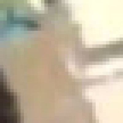 Profile picture of Zilong lopez
