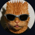 Profile picture of Hola