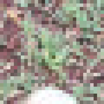 Profile picture of Mahesh