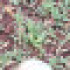 Profile picture of Mahesh