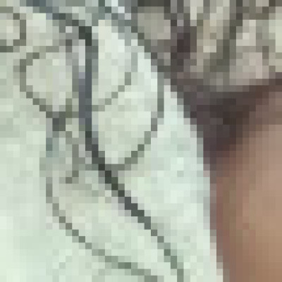 Profile picture of fernanda20210313@gmail.com